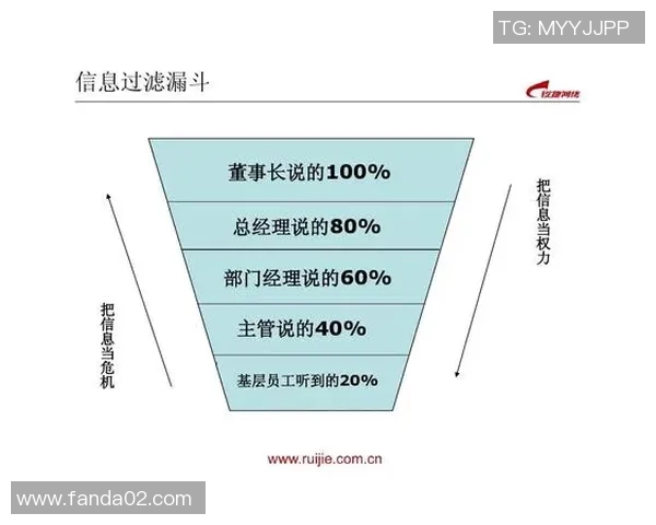 武汉乒乓球队团队协作的成功之道与未来发展探讨